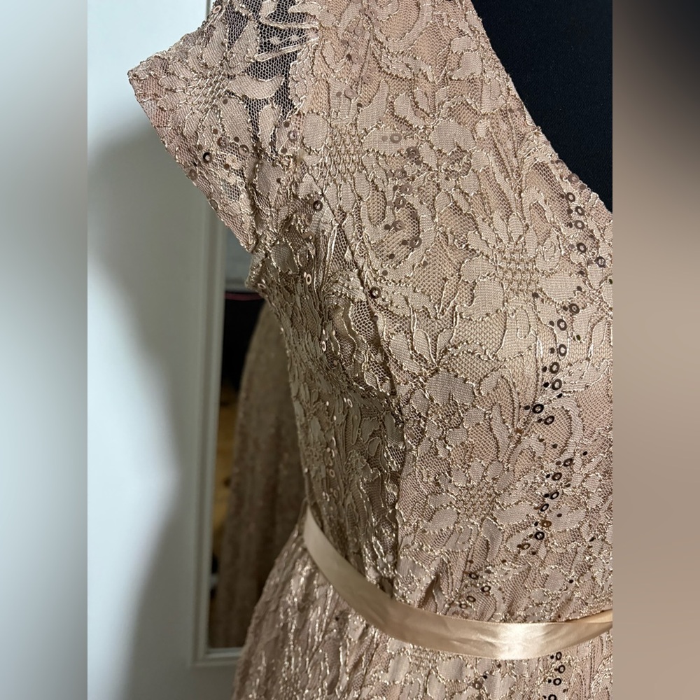 Cardolite Petite Lace Sequin Maxi Dress PL - NWT Style - Picture 3 of 6